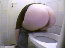 Волосатая пися девушки засветилась в туалете