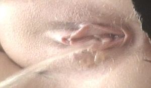 Друзья пасут писающих девушек из выгребной ямы туалета